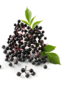 Elderberry (Black) Fruit...